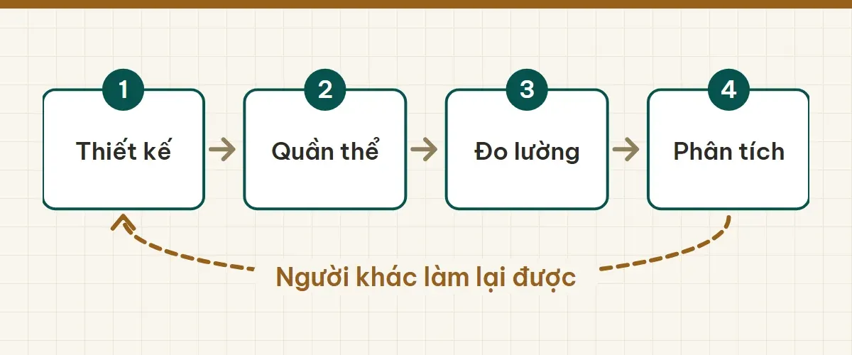 Chuỗi bốn ô Thiết kế, Quần thể, Đo lường, Phân tích và mũi tên vòng lại "Người khác làm lại được".